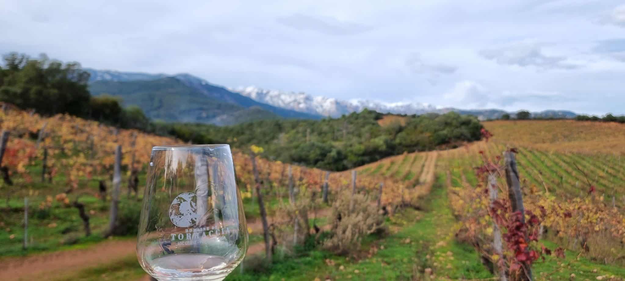 Vignes de Torraccia, verre de vin blanc et sommets enneigés