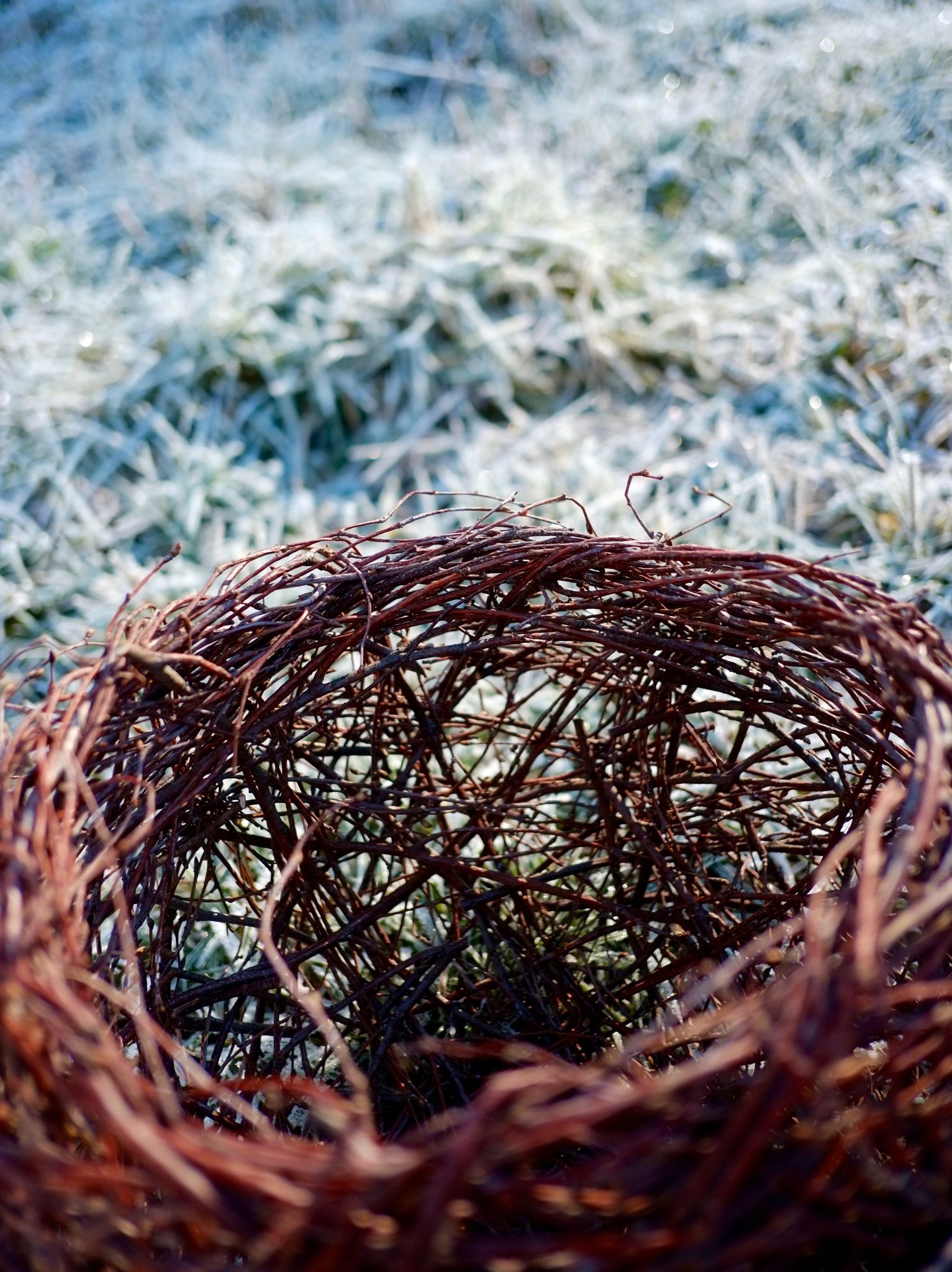 Panier en vannerie tressée à la main, posé sur de l’herbe givrée